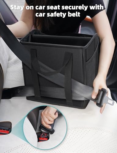 Car seat organizer in a vehicle back seat setup
