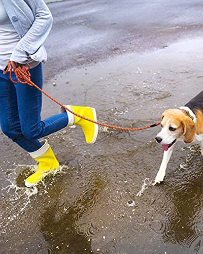 Lanwandeng leash for hiking and camping
