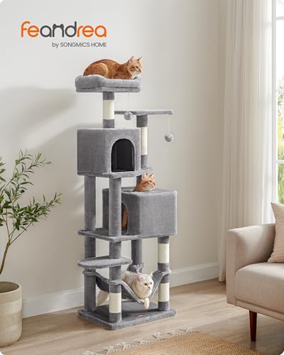Two elevated perches on the cat tower