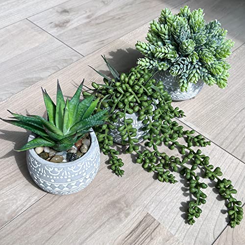 Set of 3 faux succulents on a shelf