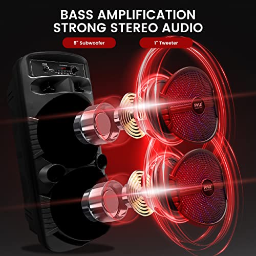 Dual 8-inch subwoofers on Pyle PA system
