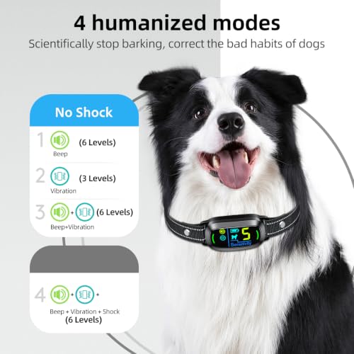 Waterproof FAFAFROG training collar