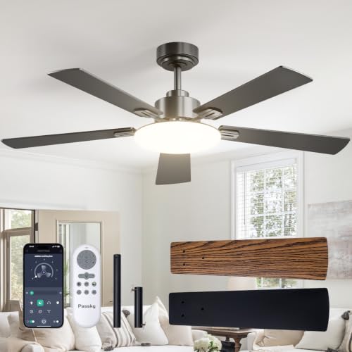 Passky 52 Inch Black Sleek Ceiling Fan profile view