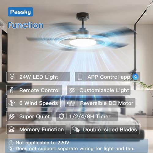 Passky ceiling fan showing black blade side
