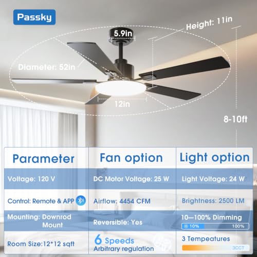 Passky ceiling fan showing walnut blade side