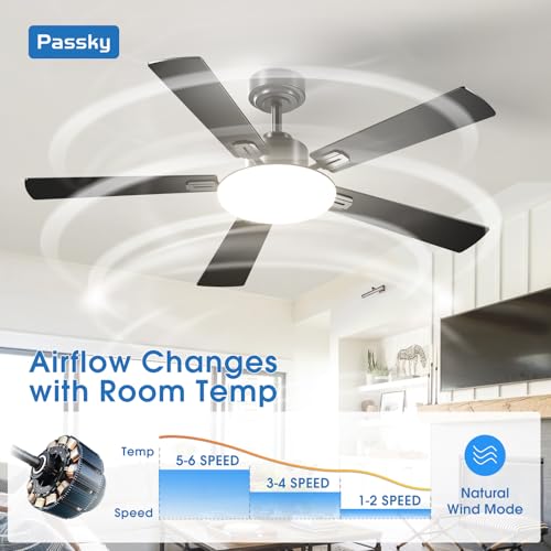 Passky fan remote control and wall mount