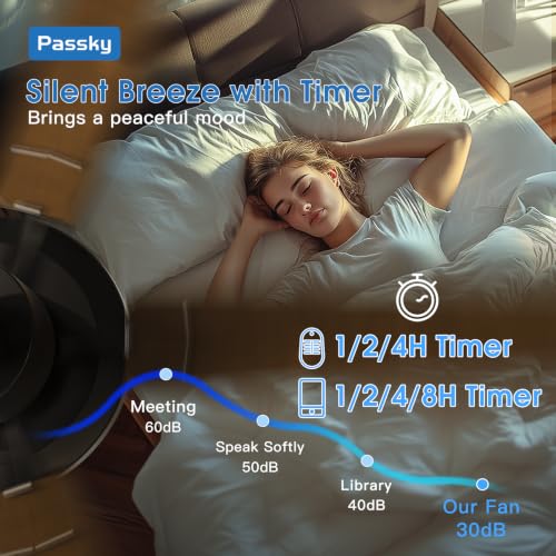 Passky ceiling fan mounted in a living room