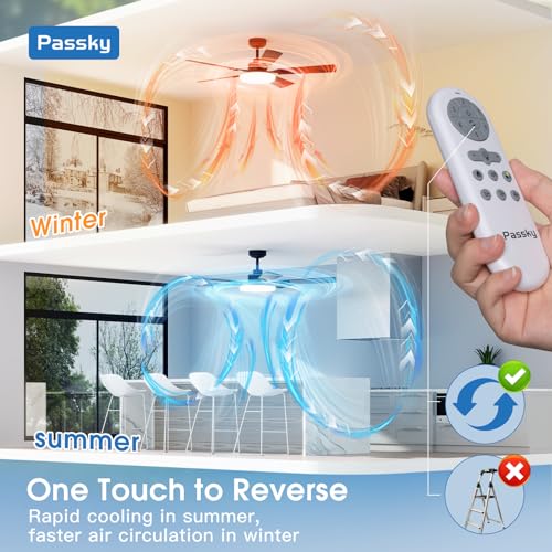 Passky ceiling fan underside view