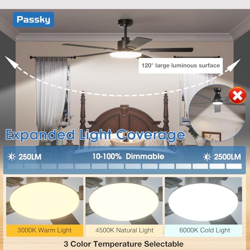 Passky fan packaging and included manual