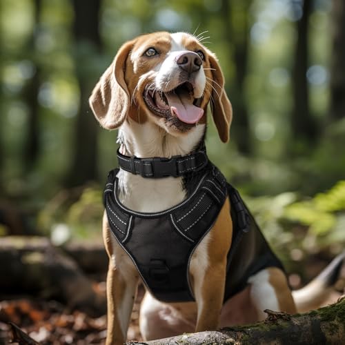Joytale Reflective Dog Collar neoprene padding close up