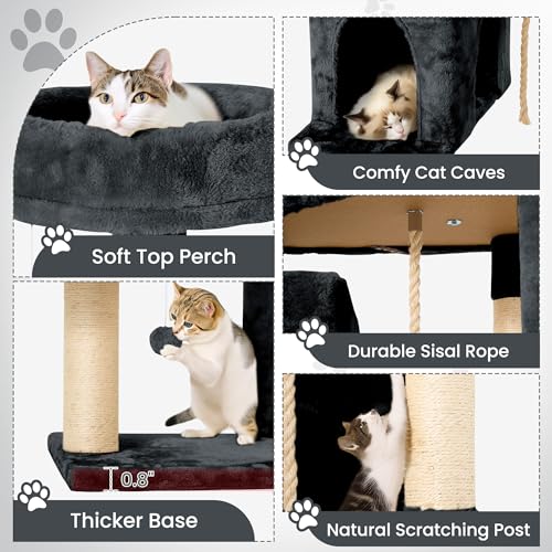 Cat house entrance and lookout platform