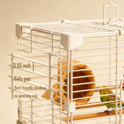 Bird cage with included ladder and swing