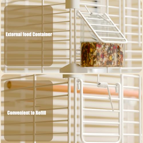 Bird cage interior layout
