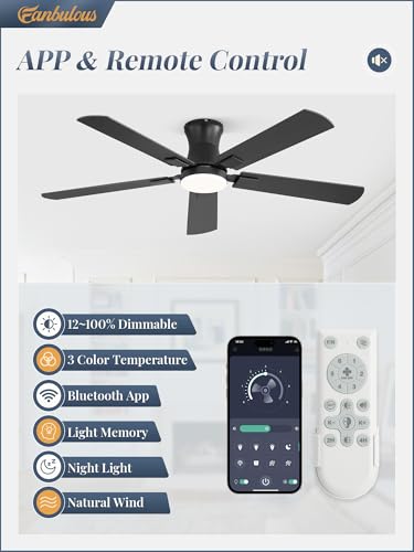 Fanbulous JL52 black ceiling fan blades