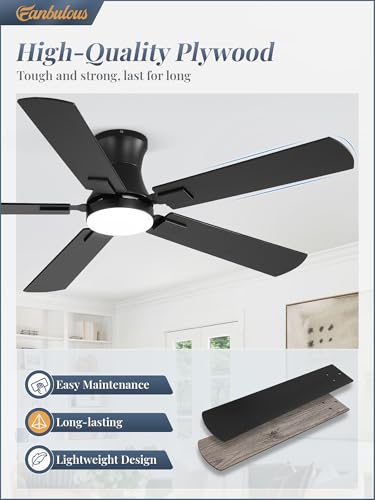 Fanbulous ceiling fan reversible blade side
