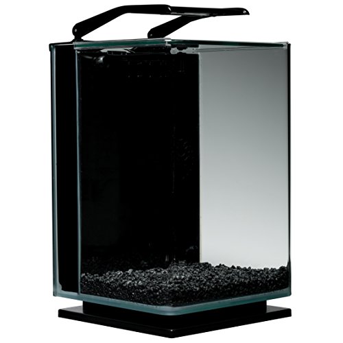 MarineLand 5-gallon tank with LED lighting on