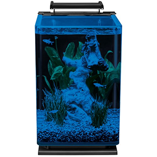 MarineLand 5-gallon aquarium glass canopy view