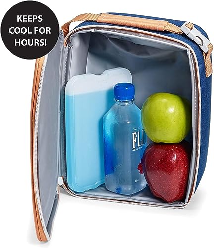 Four reusable ice blocks for kitchen and outdoor use