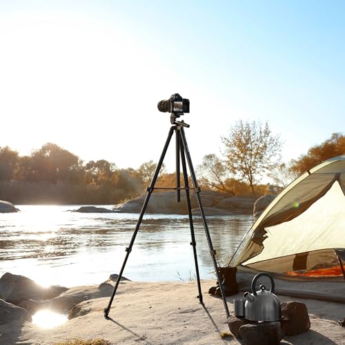 Auleda camera tripod carrying bag