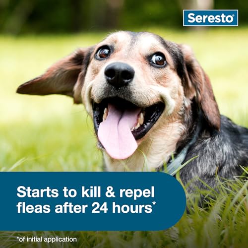 Seresto 8-Month Flea & Tick Collar for Small Dogs Under 18 lbs., 2ct in package
