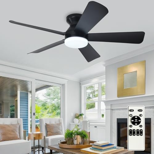 Depuley 42-Inch black modern ceiling fan with light