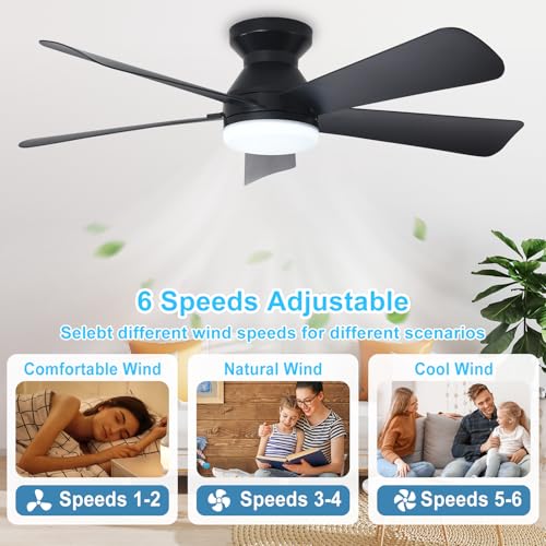View of the reversible black fan blades