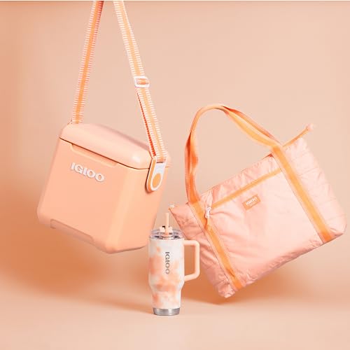 Igloo Tag Along Too carrying strap detail