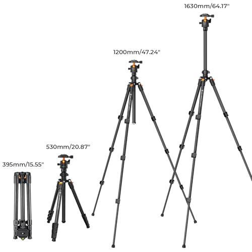 K&F Concept tripod mounted with a DSLR camera