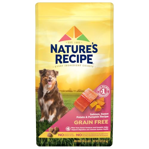 Nature's Recipe Grain Free Salmon Dry Dog Food 4 lb bag front