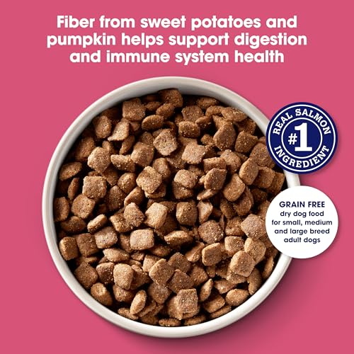 Close up of Nature's Recipe kibble texture