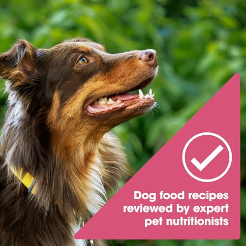 Nature's Recipe salmon dry dog food packaging side view