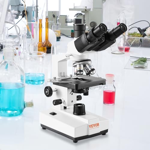 Microscope with rotatable observation head