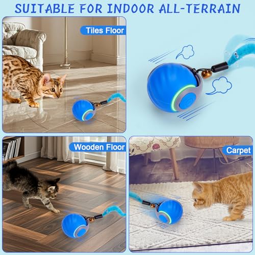 Rechargeable cat toy in blue finish