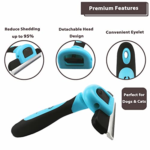 Ergonomic blue handle on Gonicc brush