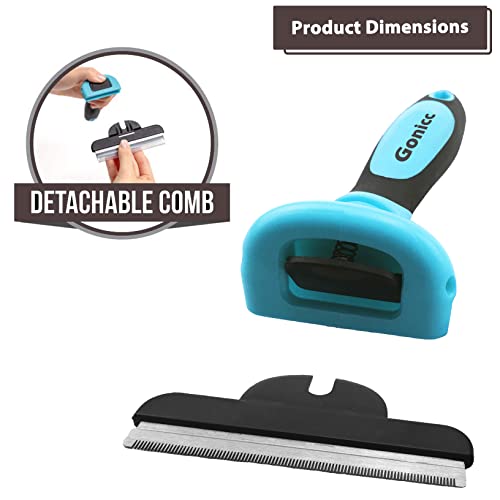 Detachable head feature on Gonicc brush