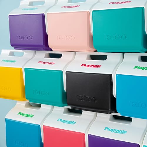 Igloo Retro Playmate Mini Jade branding detail