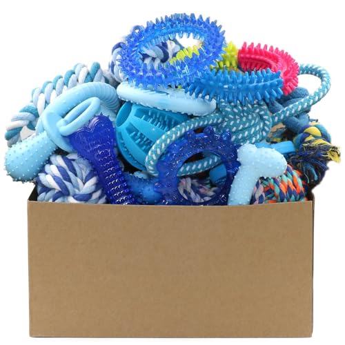 Beiker 20 pack puppy chew toys set