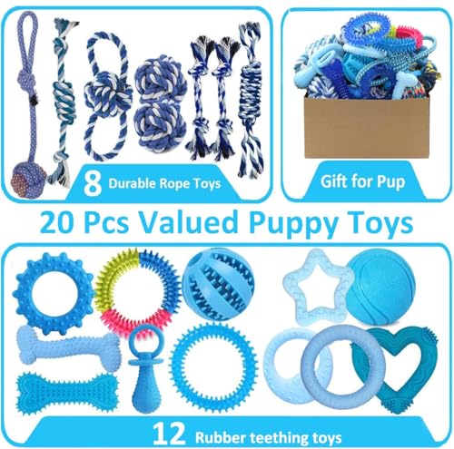 Assorted rubber and rope puppy toys