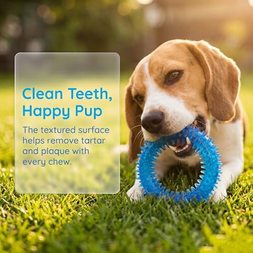 Beiker puppy toy treat dispenser detail