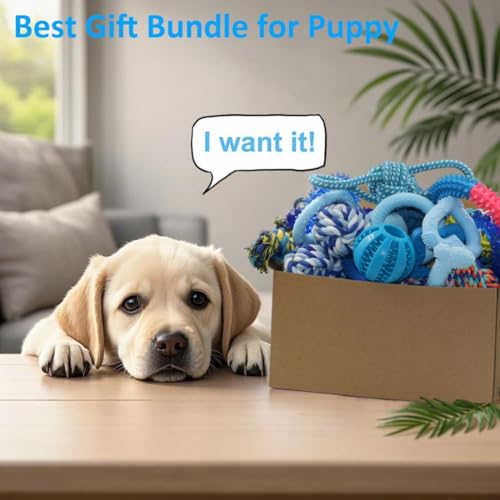 Beiker puppy toy set in gift box