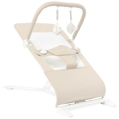 Baby Delight Alpine Deluxe Portable Bouncer front view
