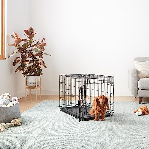 Basics dog crate door and secure locking mechanism