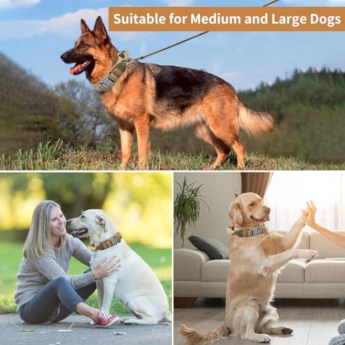 Antswish Tactical Dog Collar full length display