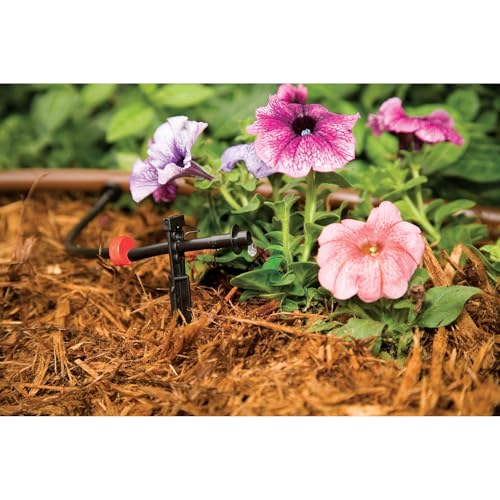 Rain Bird watering system kit