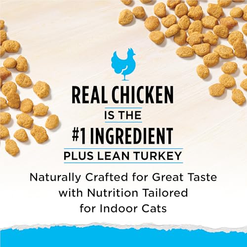 Cat food kibble texture