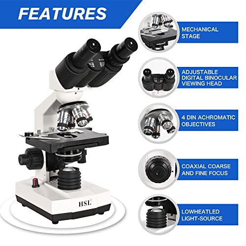 HSL Siedentopf binocular head