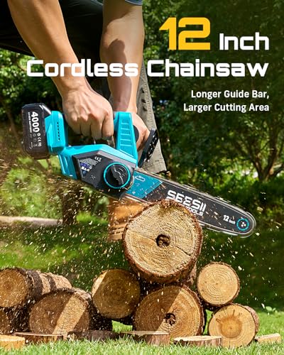 Close up of 12-inch chainsaw bar and chain