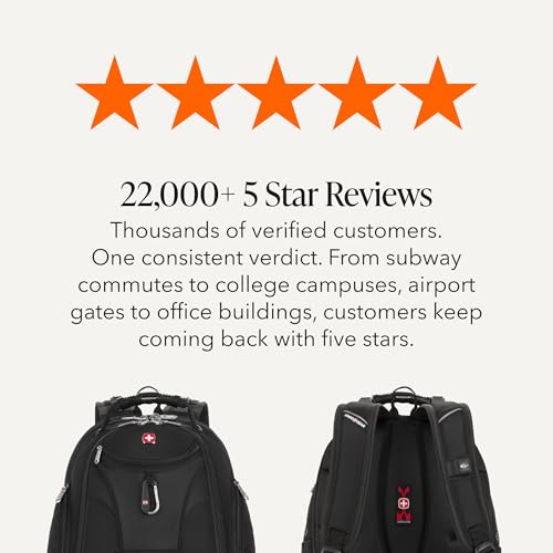 Airflow back padding on SwissGear 1900 backpack