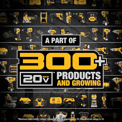 DEWALT inflator with accessories