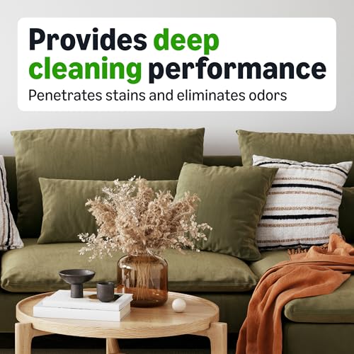 Clear liquid formula of the Basics carpet cleaner